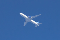 N785UA
